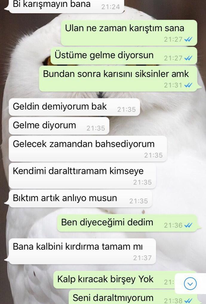 Sizce bu mesajlardan sonrA geri döner mi ?? Gitmem diyip çekip gitmek nedir ?