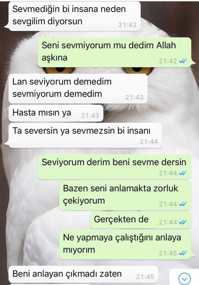 Sizce bu mesajlardan sonrA geri döner mi ?? Gitmem diyip çekip gitmek nedir ?