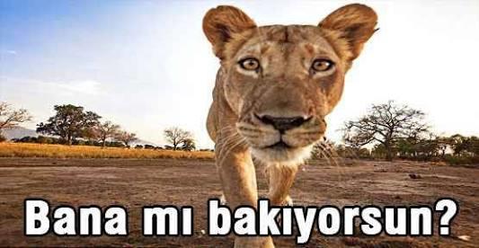 "Neden bakıyorsun" diye kavga eder misiniz?