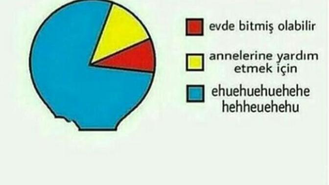 Erkekler neden bulasık sungerı alır?