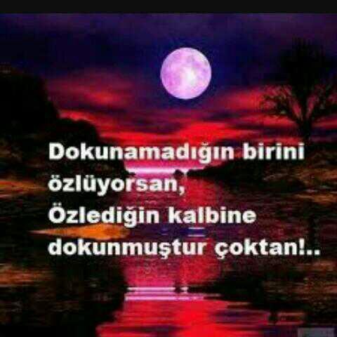 " Kalbinin ekmeğini ye " ne müthiş bir söz degil mi?
