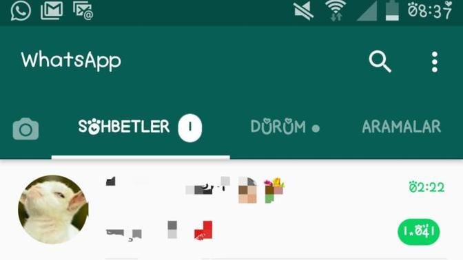 Whatsapp'ta aldığınız en çok bildirim sayısı kaçtı?
