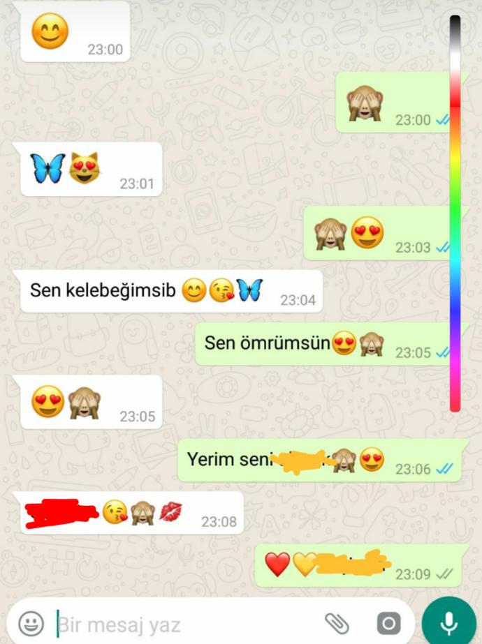 Kız ve erkek arkadaşlar ve böyle konuşmaları normal mi? Pek anlamam bu işlerden o yüzden soruyorum?