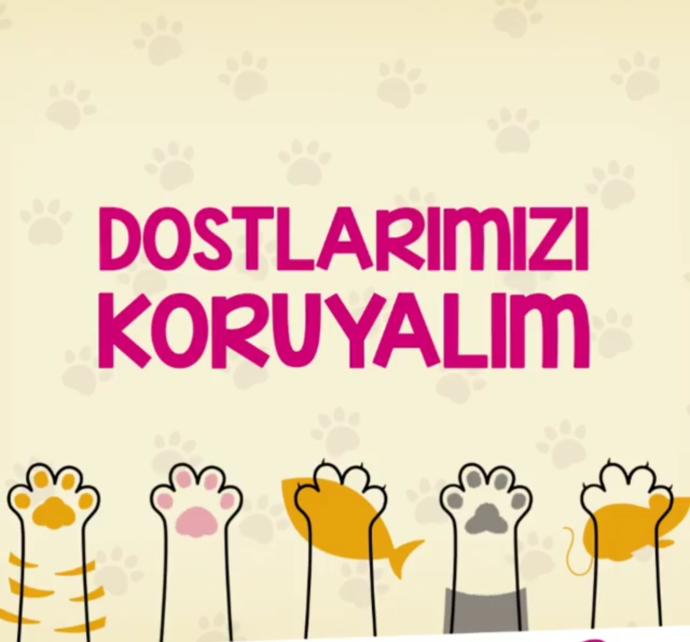 Bugün dünya hayvanları koruma günü! Hayvanları sevip koruyormusunuz ?