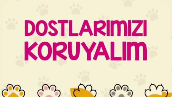 Bugün dünya hayvanları koruma günü! Hayvanları sevip koruyor musunuz?