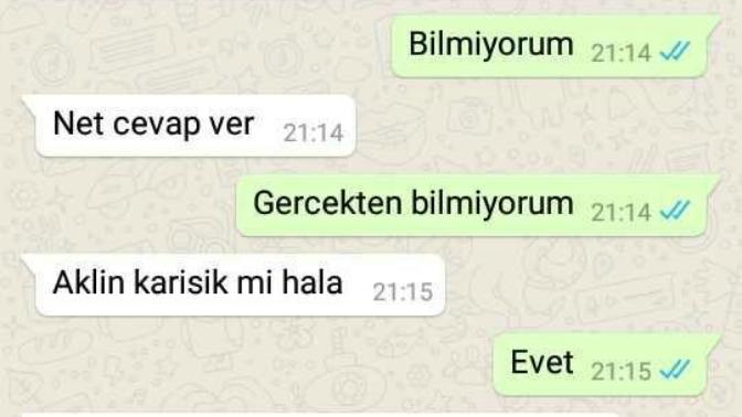 Sizce onu tamamen kaybettim mi?