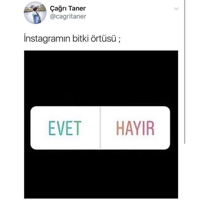 İnstagramın bitki örtüsü nedemek (fotolu) ?