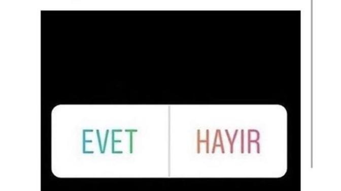 İnstagramın bitki örtüsü nedemek (fotolu) ?