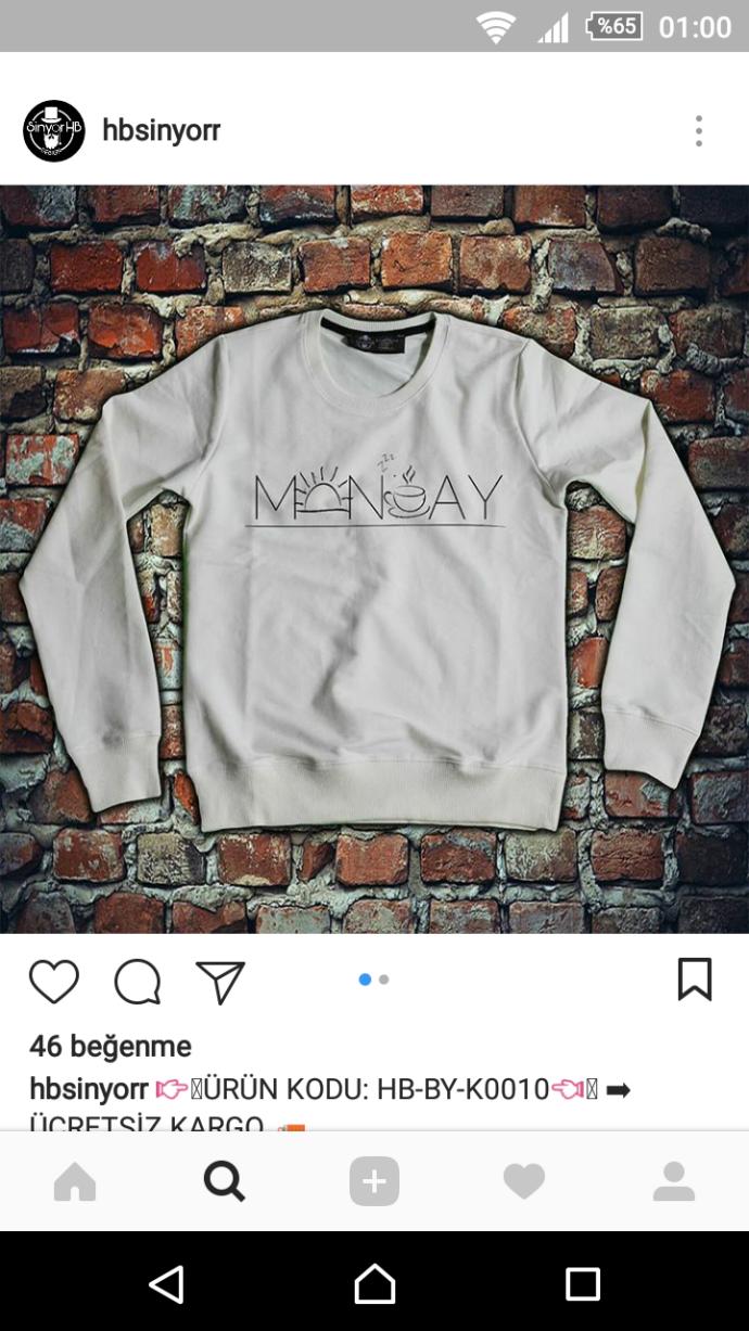 Resimdeki sweatshirt lerin hangi rengi herşey ile uyumlu olur?