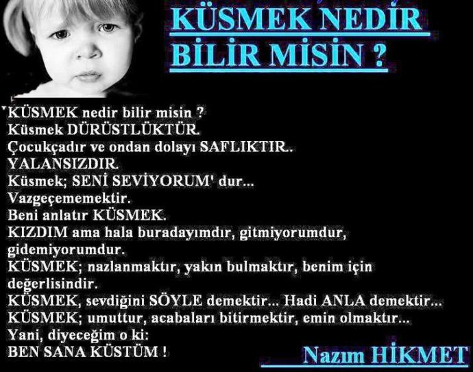 Nazım Hikmet'in en sevdiğiniz şiiri hangisi?