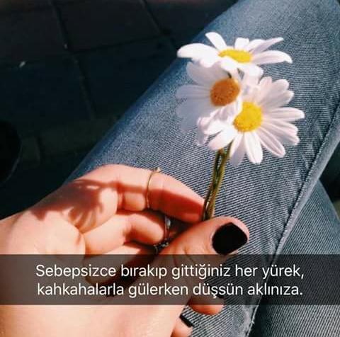 Sana da kırgınım papatya bir seviyor'u sığdıramadın onca yaprağına ! Seviyor ya da sevmiyor diye papatyalara hiç sordunuz mu?