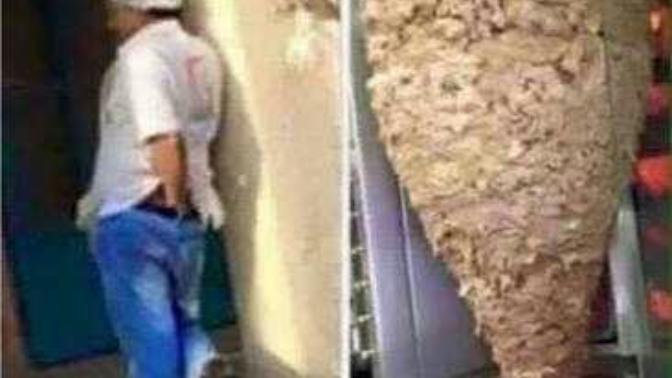 Dışarıda yediğiniz yiyeceklerin, hijyenik olmasına ne denli özen gösteriyorsunuz?