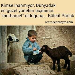 İnsanı insan yapan nedir??
