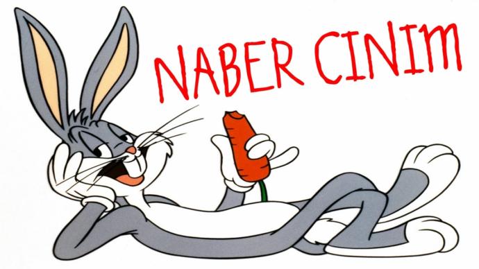 Çocukluğunuzda i̇zlediğiniz çizgi filmler hangileriydi?