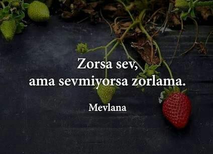 Ulaşılmaz olan her şey neden cazip gelir bir insana? Siz ulaşılmaz olanı sever misiniz?