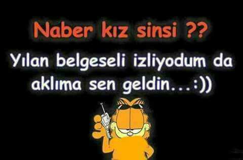 dost kazigi yiyen  var mı  ??