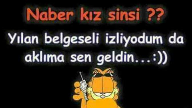 Dost kazigi yiyen varmi?