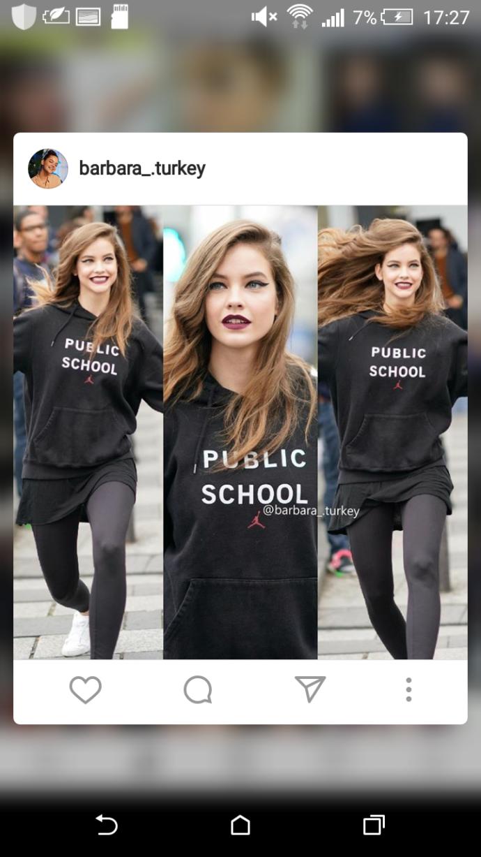 Barbara palvin saç rengi nedir?