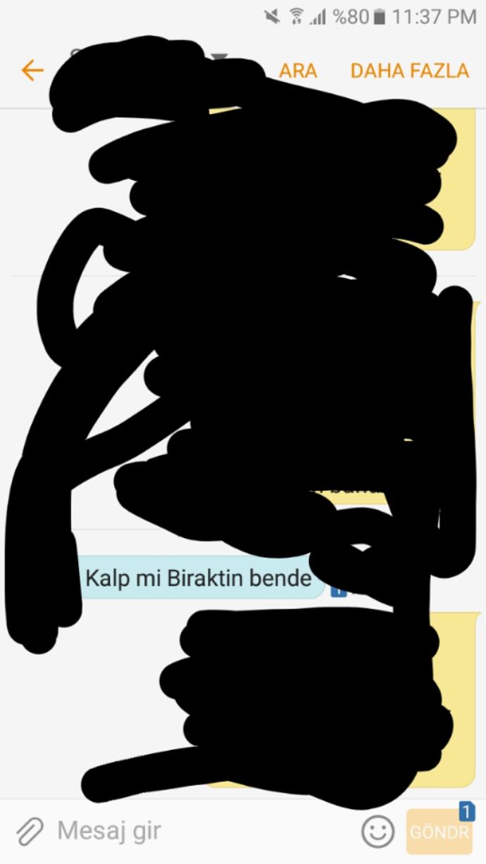 Ne demek istemistir????
