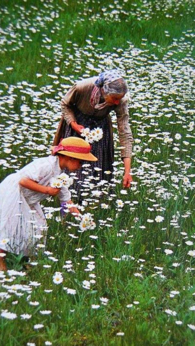 Tasha Tudor bu dünya da cennet'i görerek yaşamış bir kadın. Kim böyle yaşamak ister 😊?