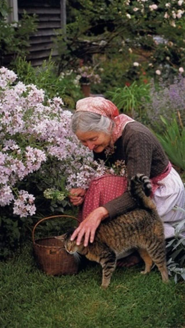 Tasha Tudor bu dünya da cennet'i görerek yaşamış bir kadın. Kim böyle yaşamak ister 😊?