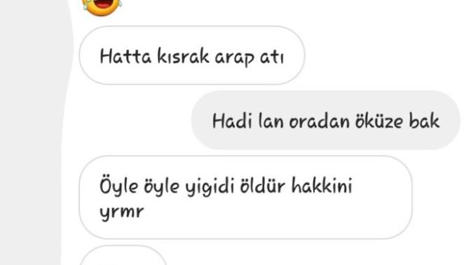 At gibi hatun ne demek?