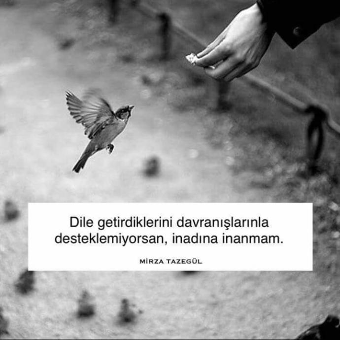 Söyledikleriyle yaptıkları birbirini tutmayan insanlara karşı tutumunuz ve tavrınız nedir?