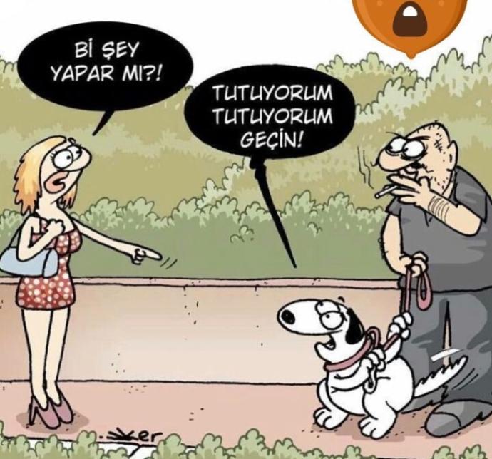 Bu karikatürde ne demek istiyor anlayan var mı?
