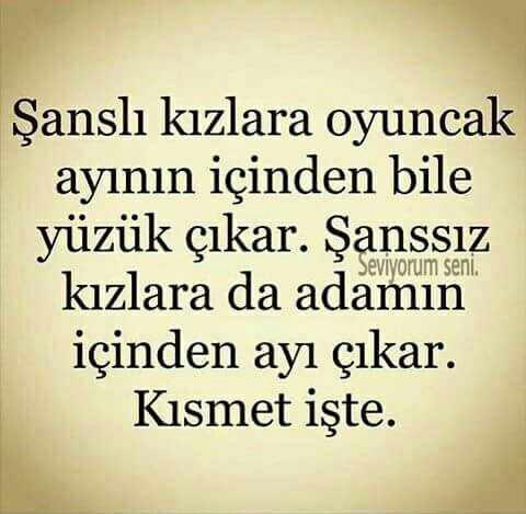 Sevgi Bir Sanat mıdır? Şayet Öyleyse Bilgi ve Çaba Gerektirir mi?