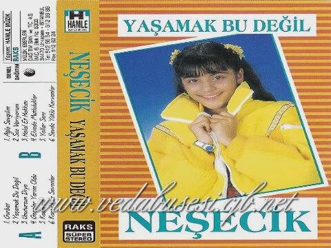 Sizce Türkiye'nin gelmiş geçmiş en iyi çocuk sanatçısı kimdir?