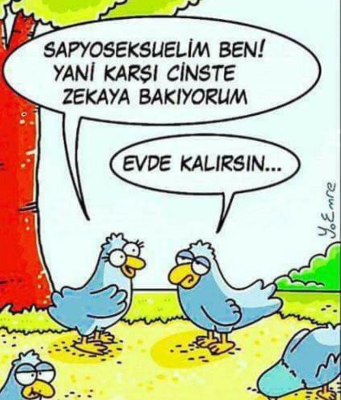 Sapyoseksüelin kaderi evde kalmak mı?