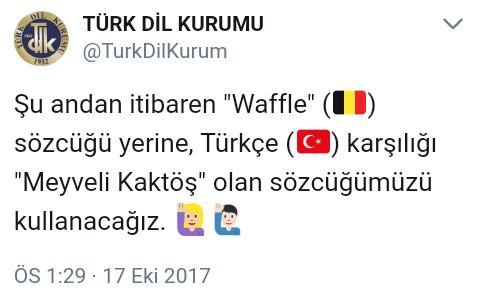 Kaktöş ne demek ?