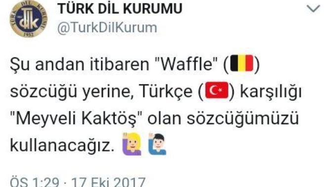 Kaktöş ne demek?