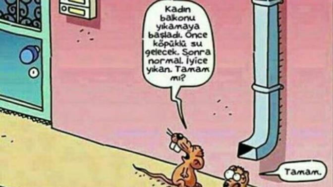 Haftada kaç kez duş alınmalı? Siz kaç kere alırsınız.. Fazla duş almak zararlı mı?
