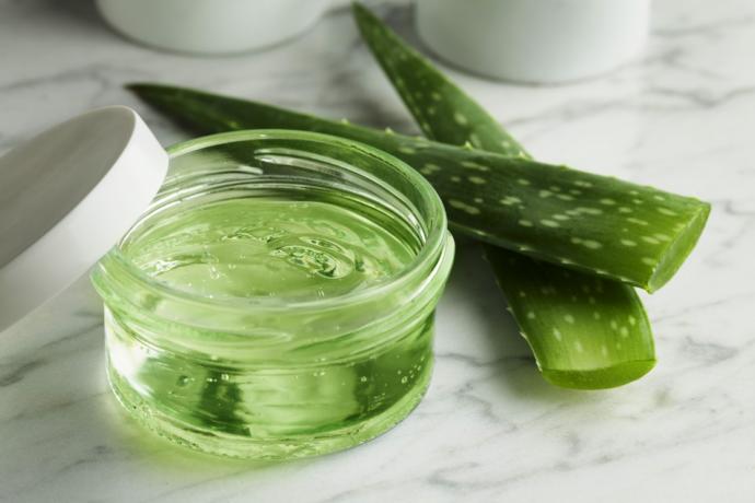 aloe vera