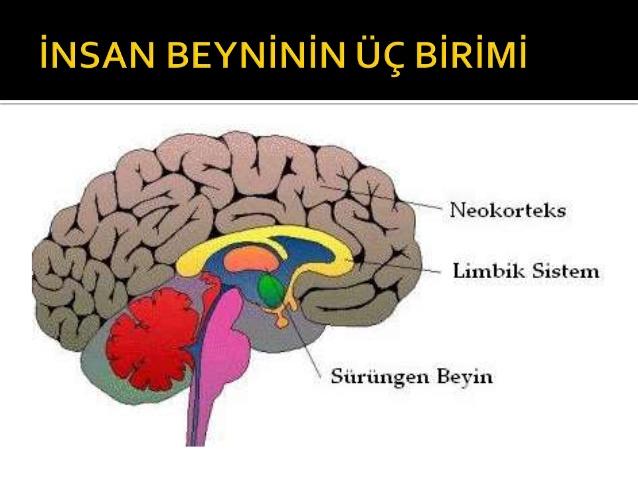 Düşünce üretmeyenin insan olmadığını biliyor musunuz?
