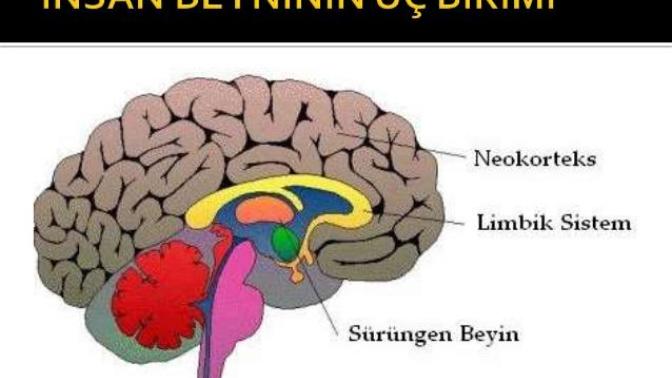 Düşünce üretmeyenin insan olmadığını biliyor musunuz?