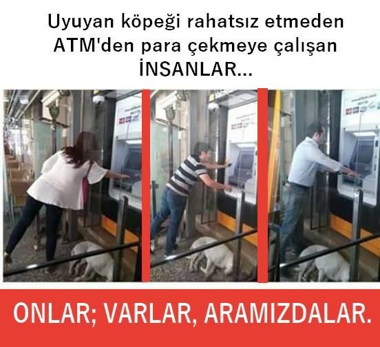 Atm den para çekeceğiniz zaman önünde köpek uyumuşsa ne yaparsınız ?