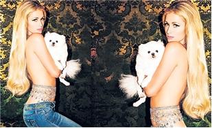 Paris Hilton kendi pantolon firmasının reklam çekimleri için kamera karşısında üstsüz pozlar verdi. Normal karşılıyor musun bunu?