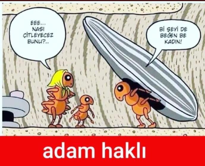 Hiçmi bişeyi beğenmeyiz?