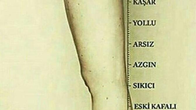 Sekse ozenen yenı nesıl kızlar uzerıne ne dusunuyorsunuz arkadaslar?