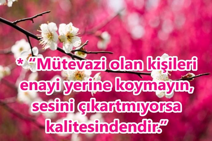 Kaliteli İnsan Kimdir? Nasıldır?