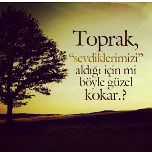 Toprak kokusunu sever misiniz ?