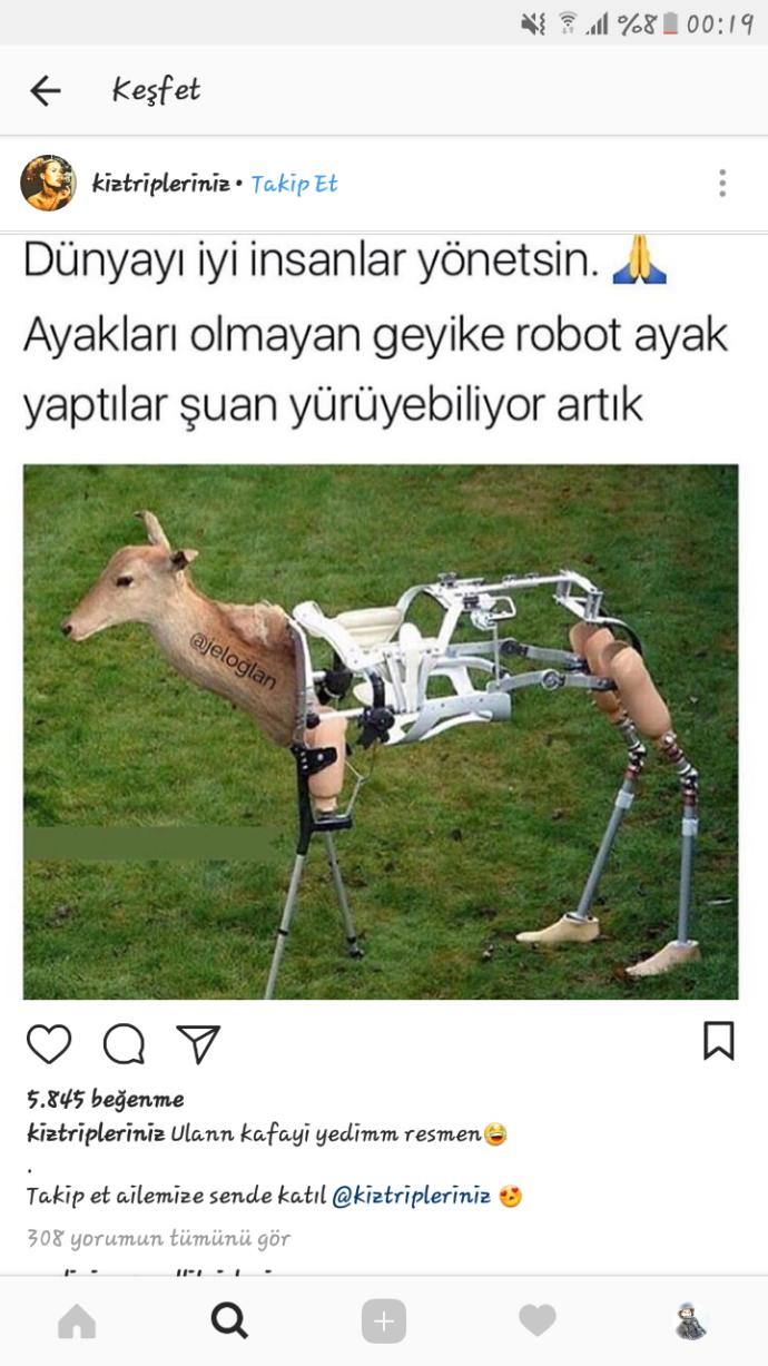 Sekste en çok ne yapmayı seversiniz?