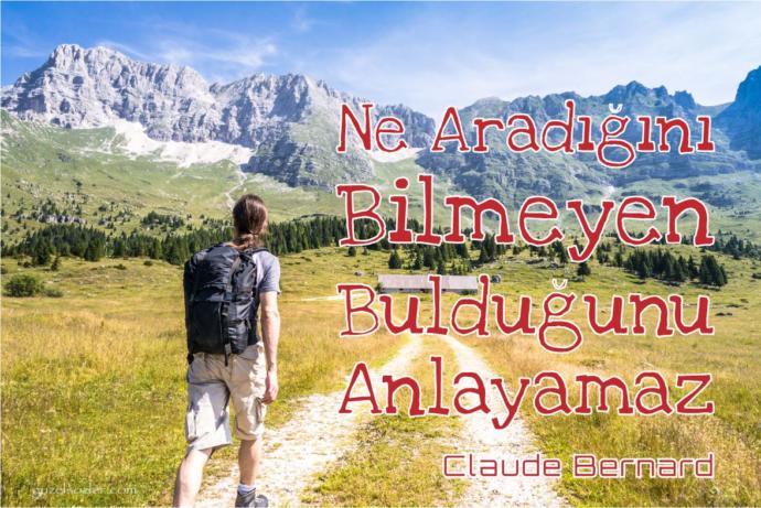 Hayattaki arayışlarınız nelerdir?