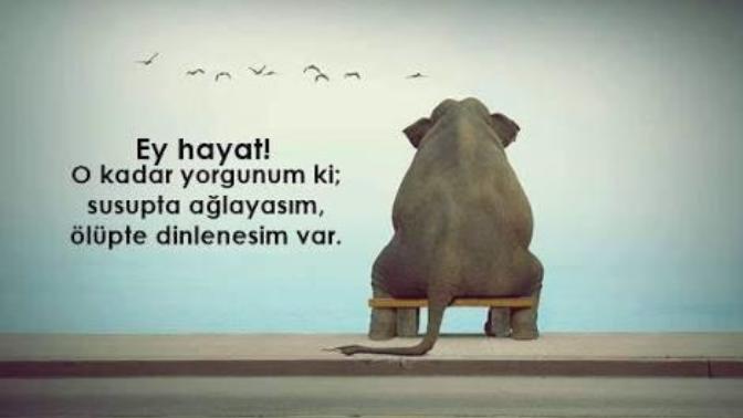Bu hayatta sizi yoran şey nedir?