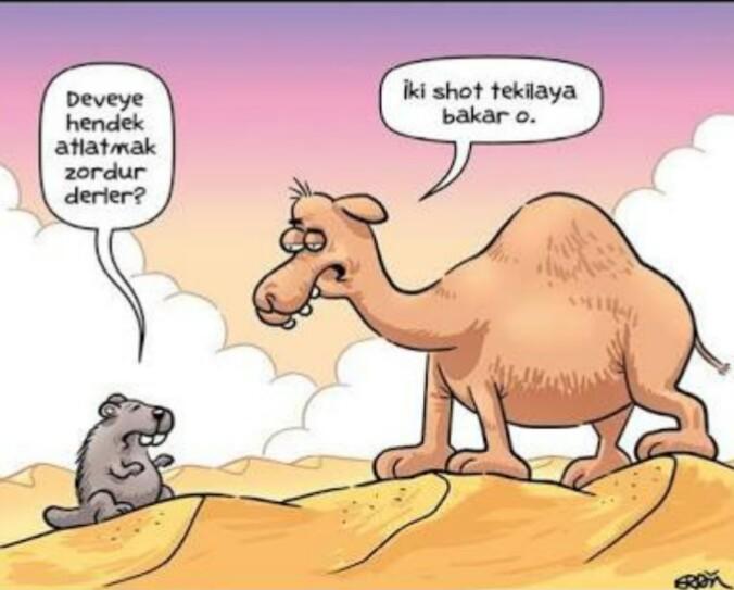 Anlamak mı zor anlatmak mı? 