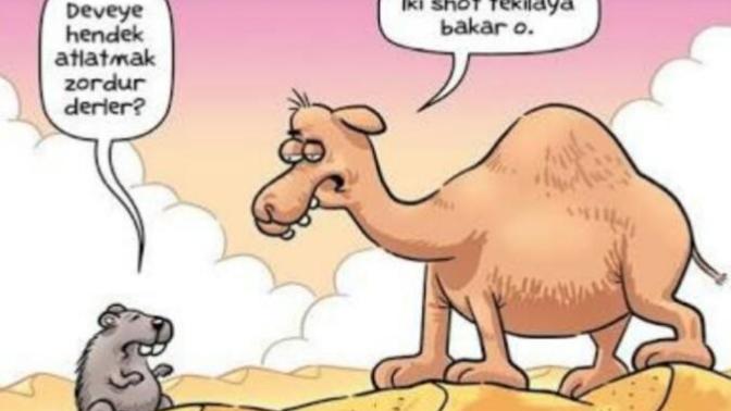 Anlamak mı zor anlatmak mı?