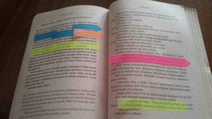 Okuduğunuz kitaplarda ki yazıların altını çizer misiniz,  sayfanın üstüne notlar alır mısınız ????