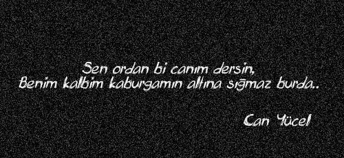 Sizi en iyi tanımlayan kelime ya da cümle nedir?